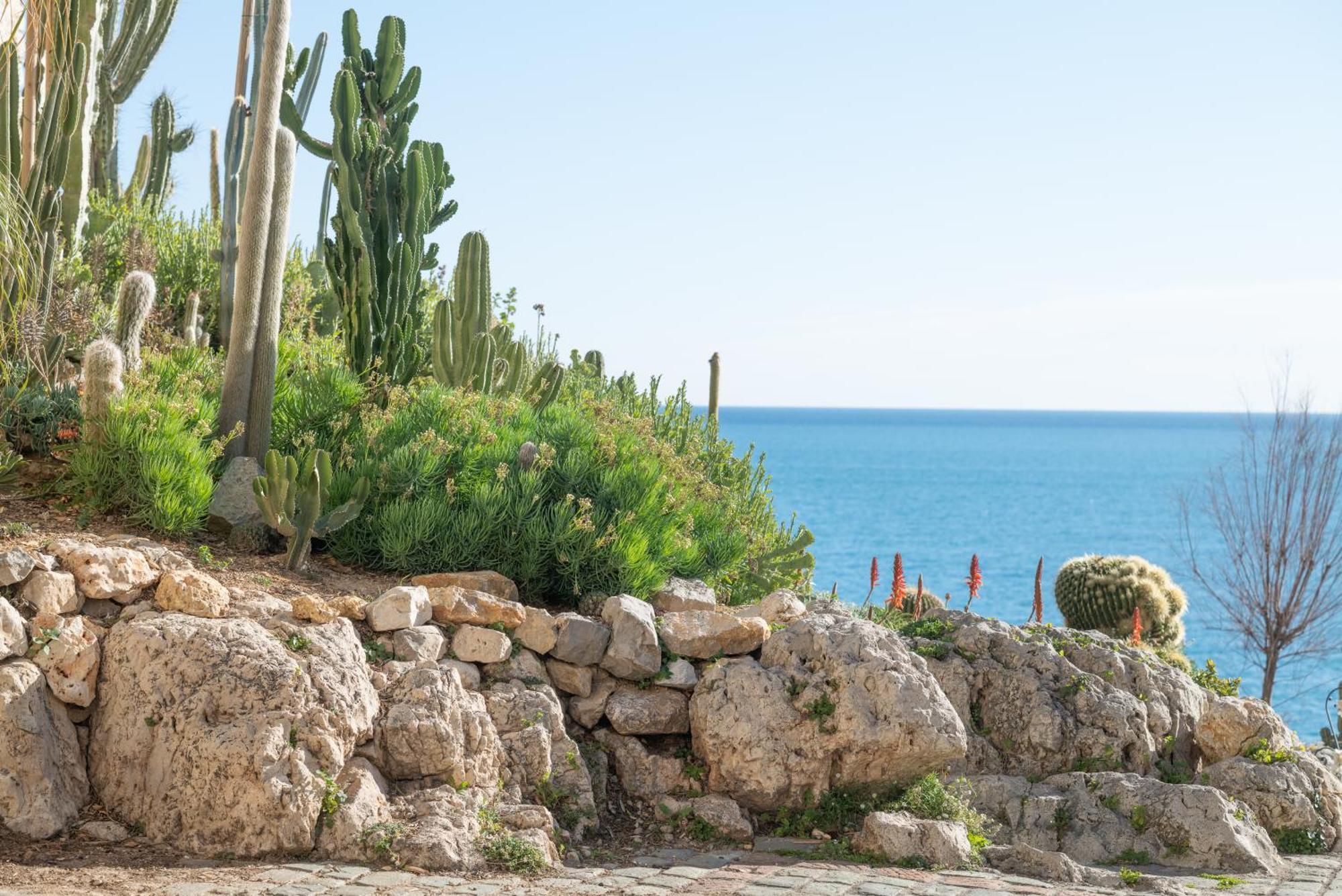 Apartmán La Pablita, Vieil Antibes, Remparts Exteriér fotografie